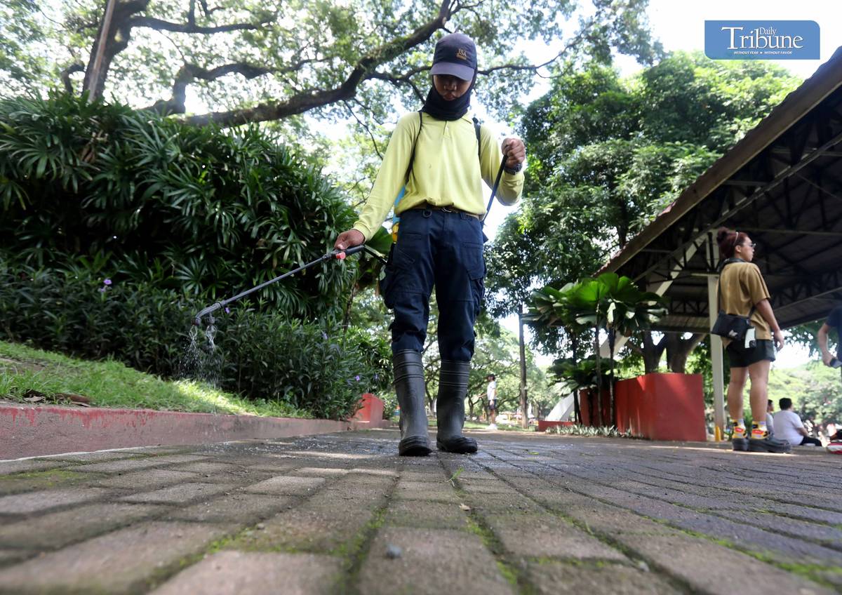 ANALY LABOR